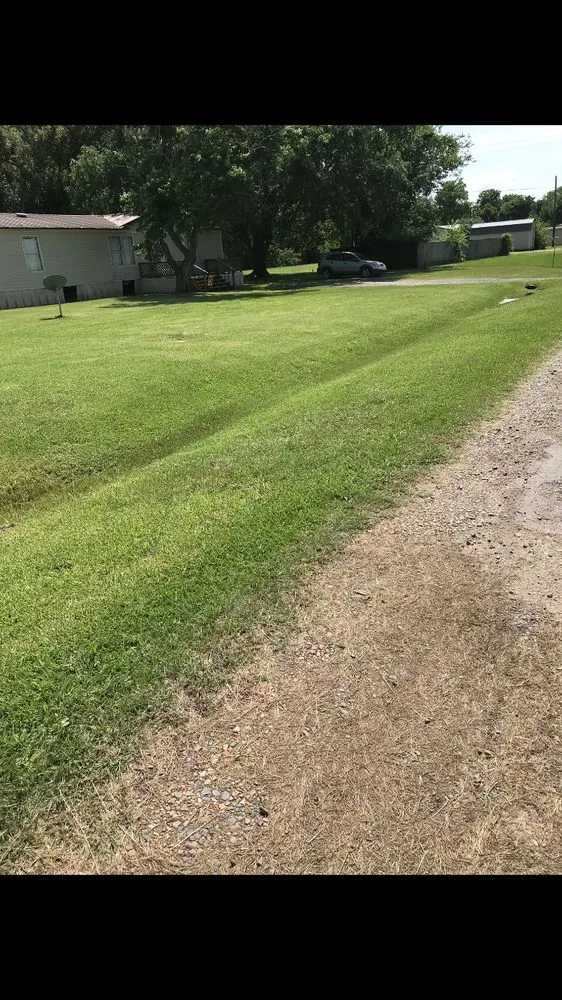 Trusted lawn care service in Natchitoches, LA - The Lawn Dr Of Natchitoches