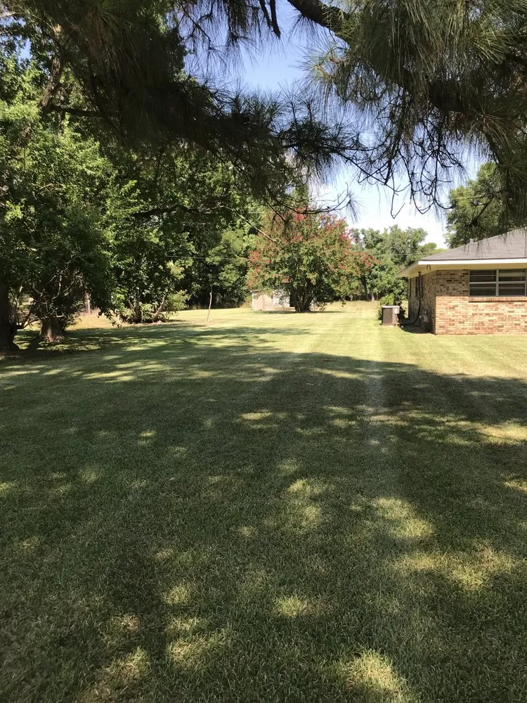 Expert lawn care service in Natchitoches, LA by The Lawn Dr Of Natchitoches