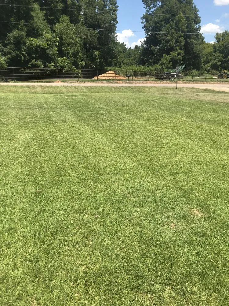 Expert residential landscaping in Natchitoches, LA by The Lawn Dr Of Natchitoches