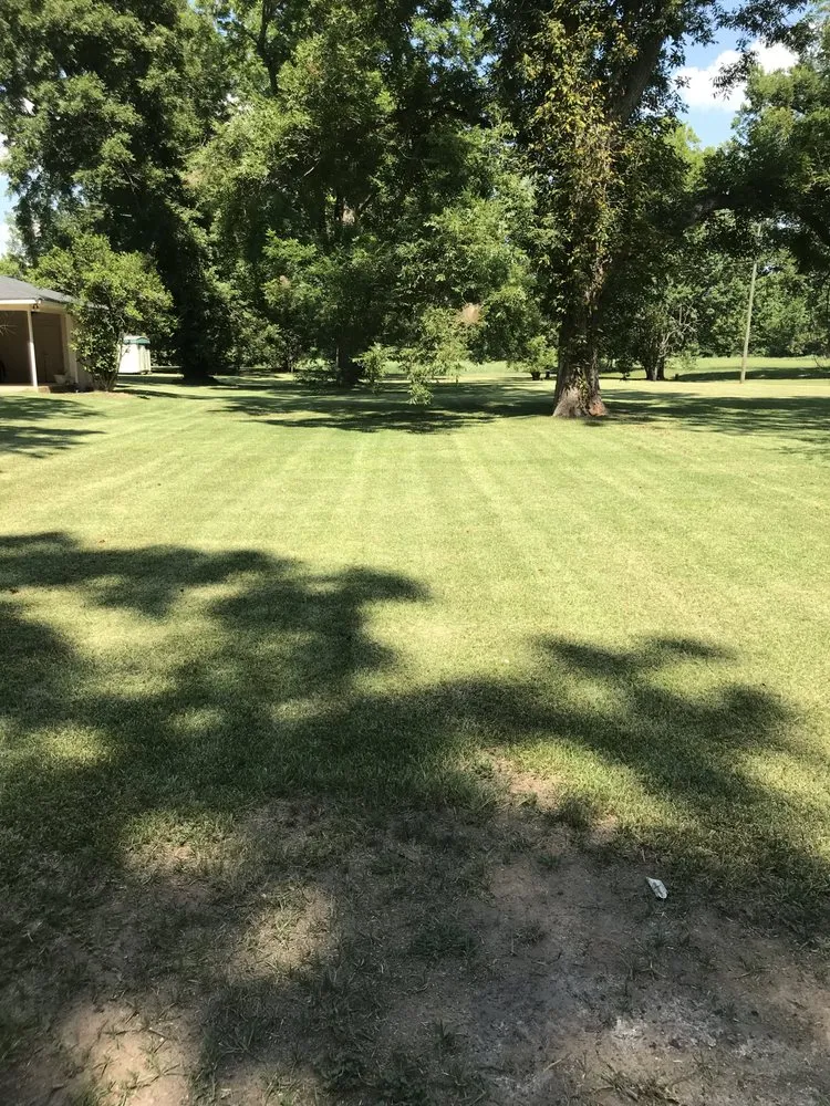 Reliable landscaping services in Natchitoches, LA by The Lawn Dr Of Natchitoches