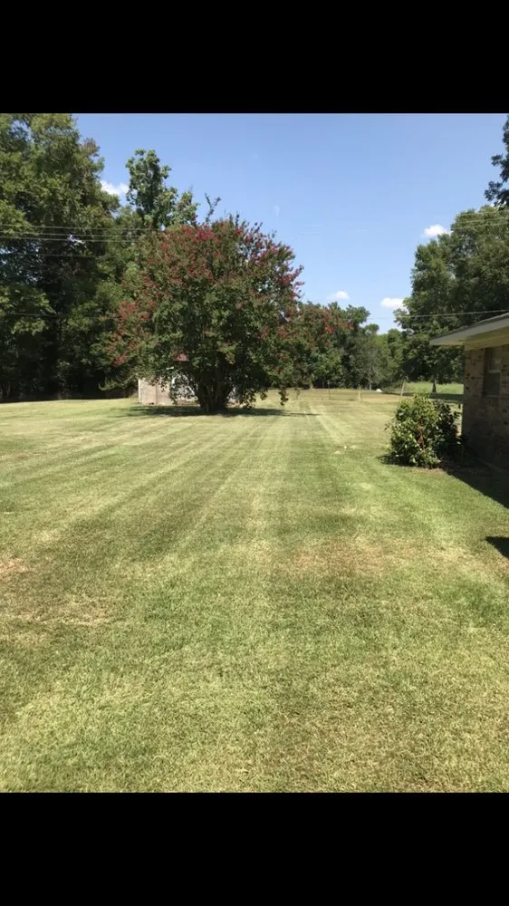 Trusted lawn mowing service near you across Natchitoches, LA - The Lawn Dr Of Natchitoches