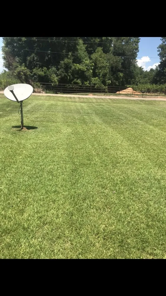 Professional garden landscaping experts serving Natchitoches, LA - The Lawn Dr Of Natchitoches