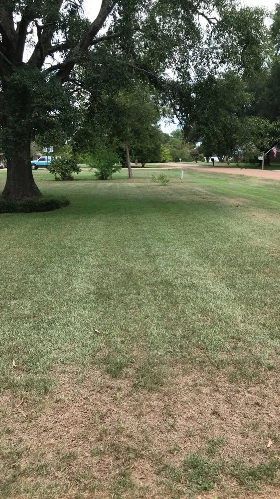 Expert residential landscaping experts serving Natchitoches, LA - The Lawn Dr Of Natchitoches