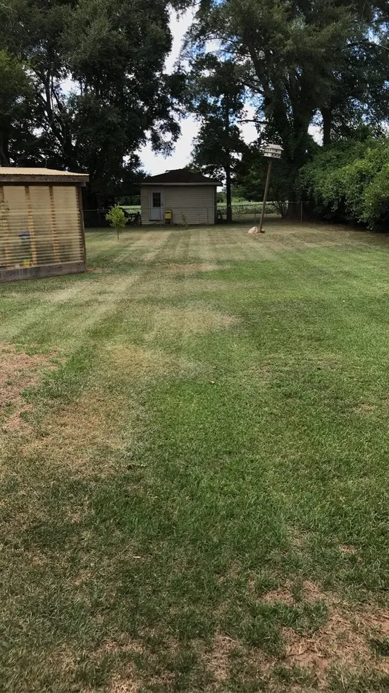 Expert landscaping services experts serving Natchitoches, LA - The Lawn Dr Of Natchitoches