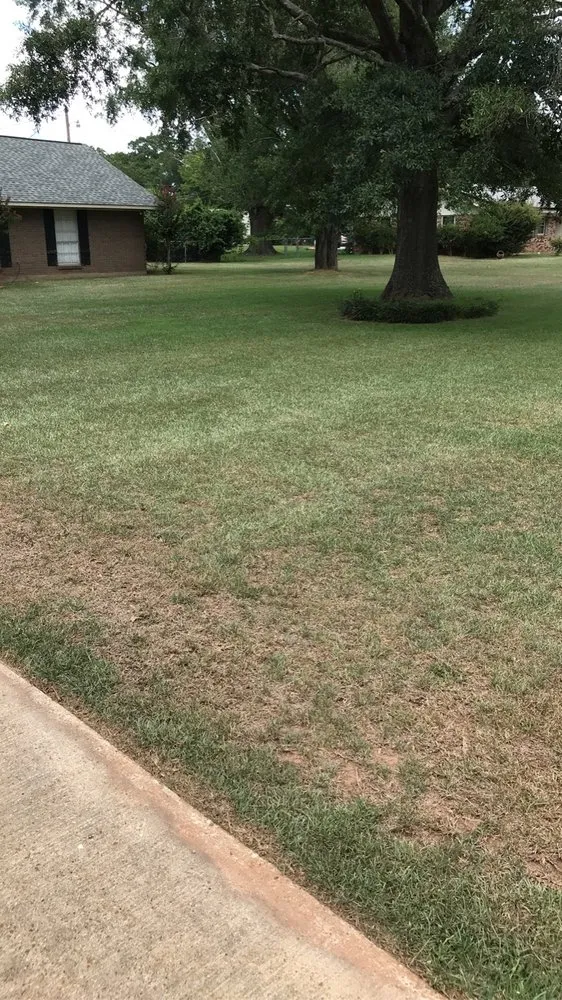 Professional yard cleanup service experts serving Natchitoches, LA - The Lawn Dr Of Natchitoches