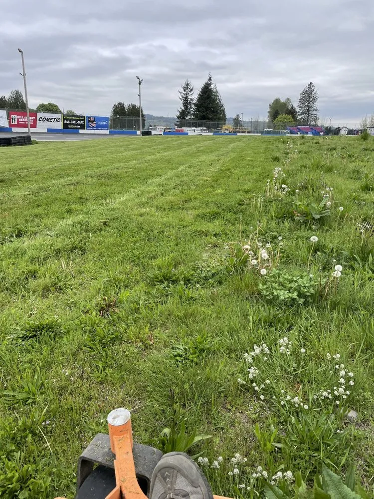 Affordable lawn care service with custom design across Everett, WA - The Lawn Dude