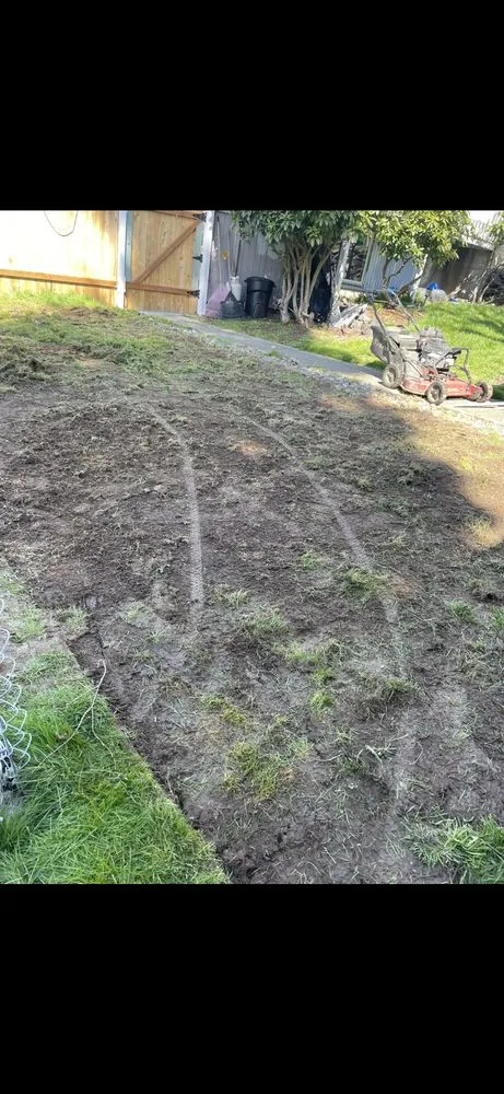 Custom lawn care service for residential properties in Everett, WA by The Lawn Dude