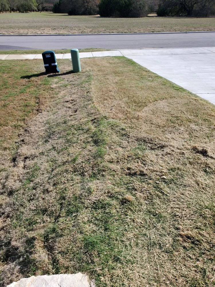 Top-rated garden landscaping near you across Killeen, TX - The Lawn Dude