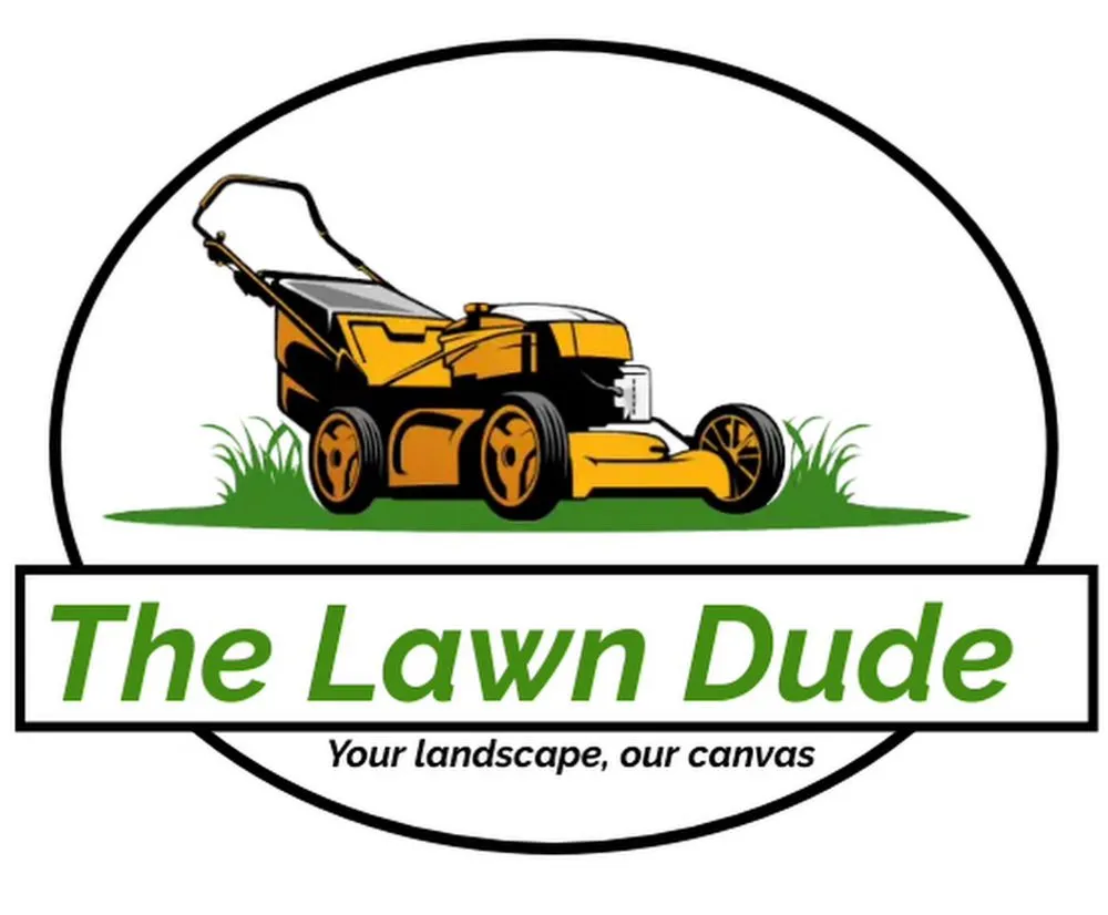 Trusted yard cleanup service in Killeen, TX - The Lawn Dude