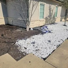 Professional yard cleanup service in Killeen, TX - The Lawn Dude