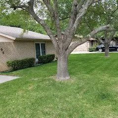 Top-rated landscaping services for homes across Killeen, TX - The Lawn Dude