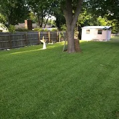 Custom lawn mowing service in Killeen, TX by The Lawn Dude