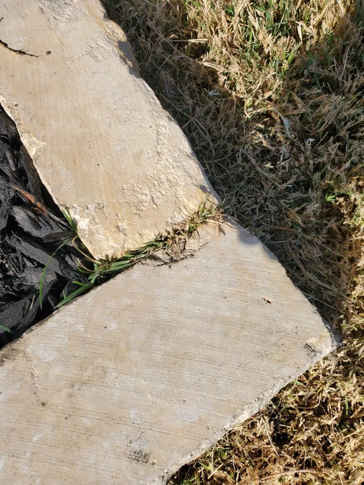 Expert yard maintenance experts serving Killeen, TX - The Lawn Dude