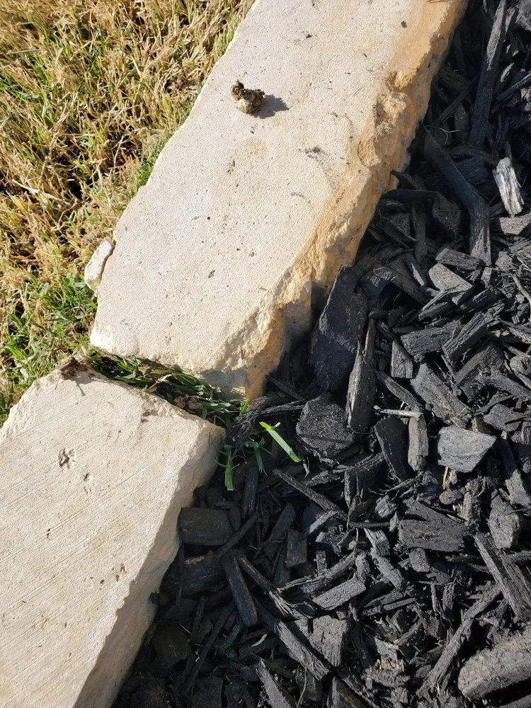 Top-rated lawn mowing service in Killeen, TX by The Lawn Dude