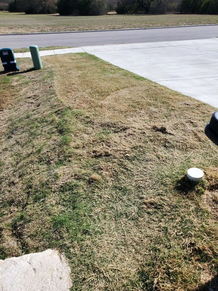 Local lawn care service for beautiful yards across Killeen, TX - The Lawn Dude