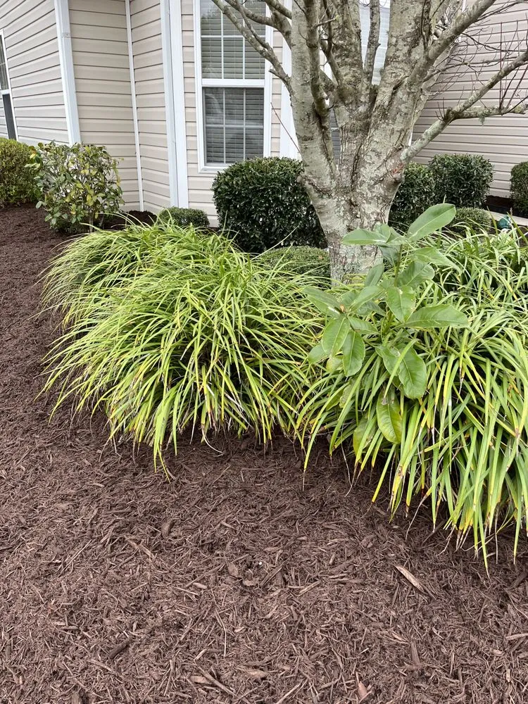 Custom garden landscaping experts serving Myrtle Beach, SC - The Lawn Enforcement Lawn Care