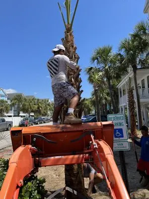 The Lawn Enforcement Lawn Care Logo