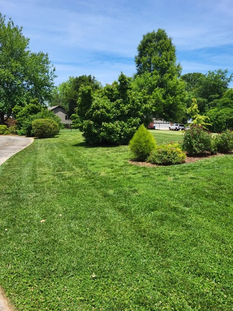 Top-rated yard maintenance experts serving Mooresville, NC - The Lawn Expert