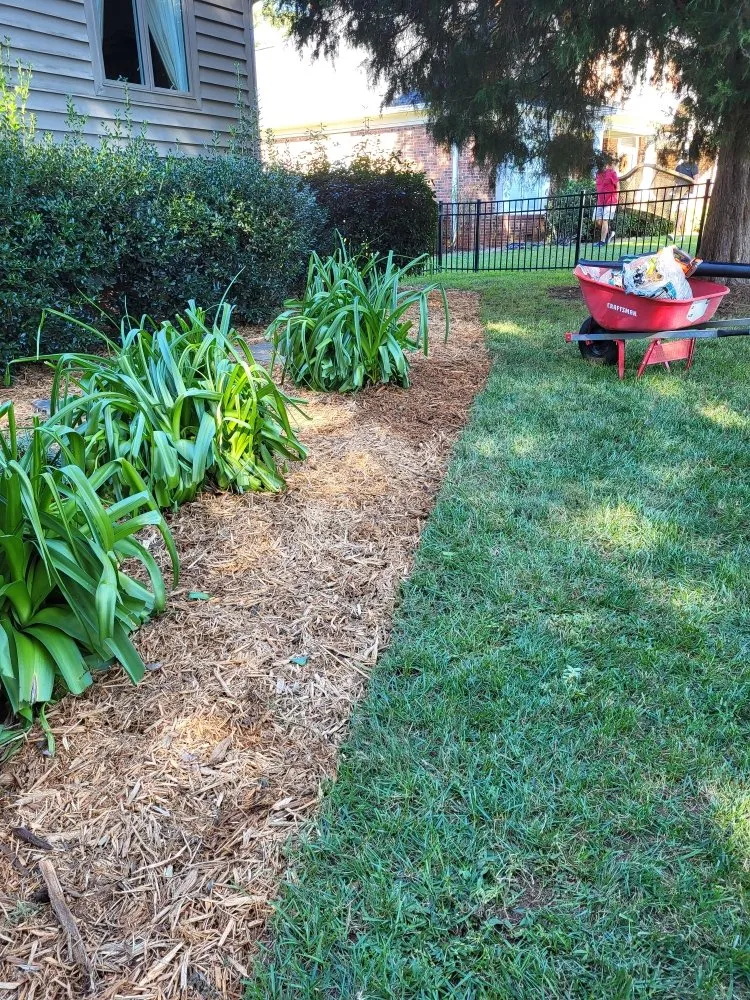 Expert lawn care service in Mooresville, NC - The Lawn Expert