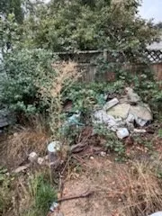 Expert landscape installation in Eugene, OR by The Lawn Father