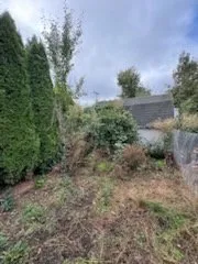 Top-rated outdoor landscaping in Eugene, OR - The Lawn Father