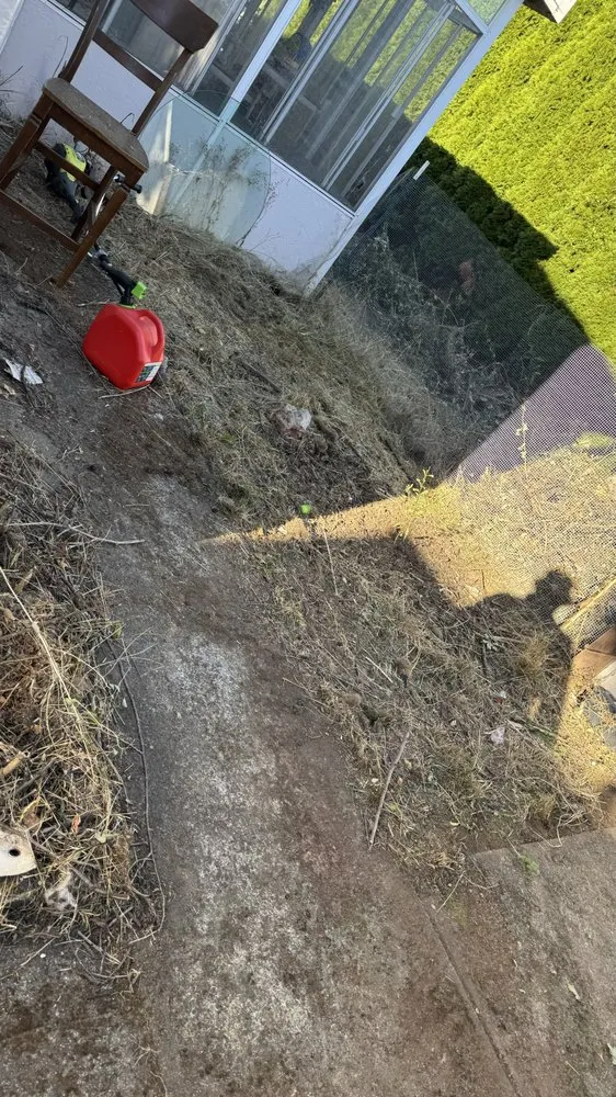 Trusted outdoor landscaping in Eugene, OR - The Lawn Father