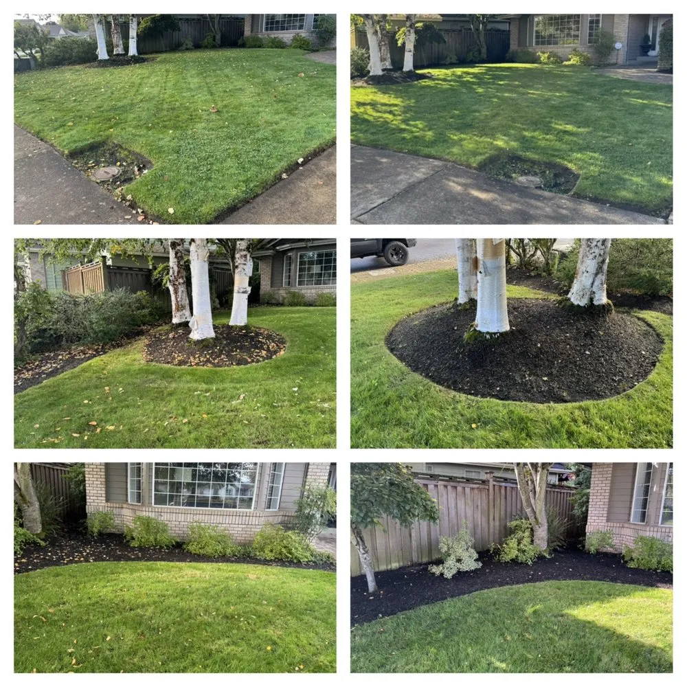 Affordable lawn mowing service experts serving Eugene, OR - The Lawn Father