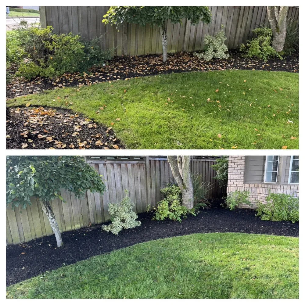 Expert yard cleanup service for homes across Eugene, OR - The Lawn Father