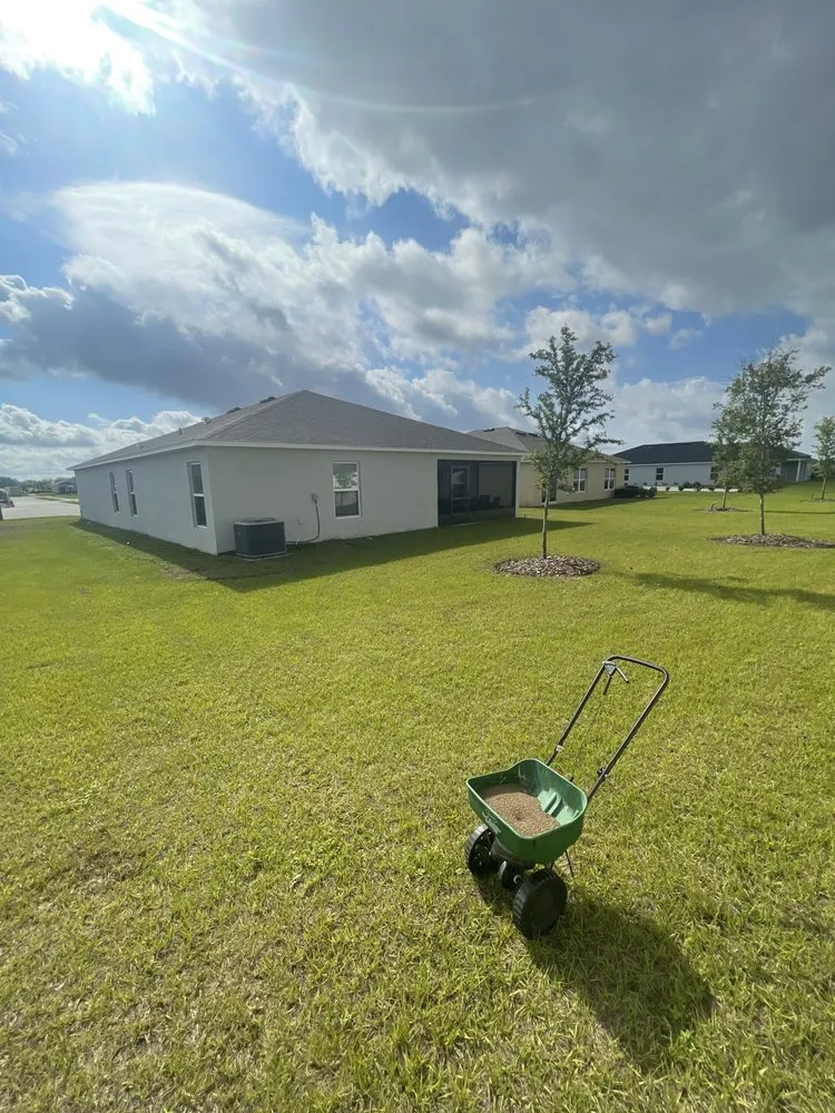 Expert yard cleanup service in Haines City, FL by The Lawn Father