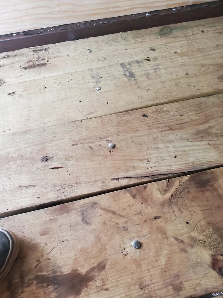 Affordable lawn mowing service with custom design in Haltom City, TX by The lawn father