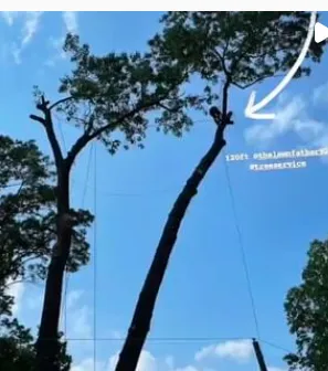 Reliable landscape installation for homes across Springfield, PA - The Lawn Father