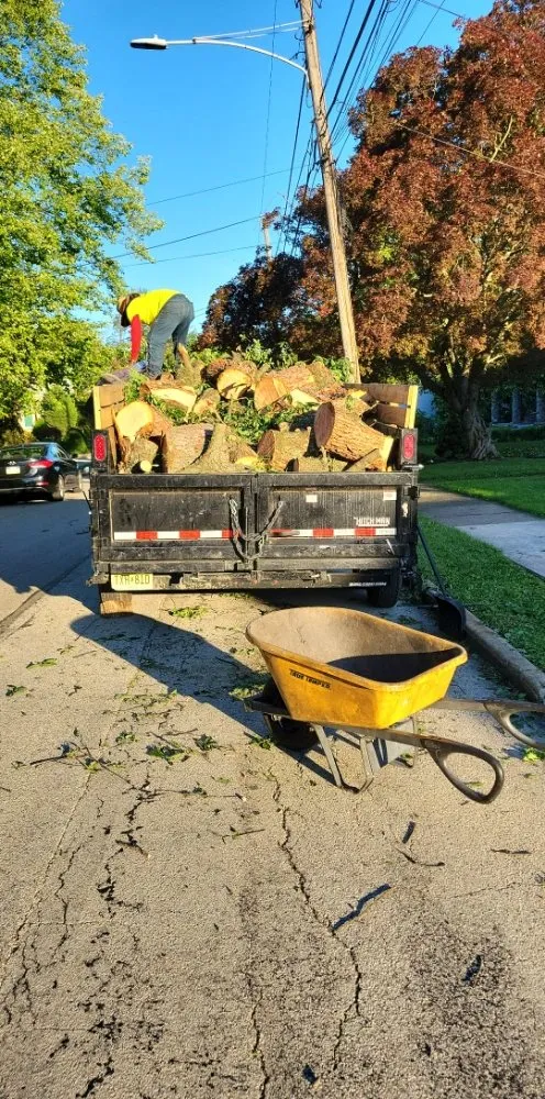 Local garden landscaping for homes across Springfield, PA - The Lawn Father