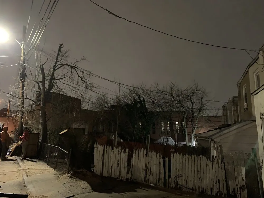 Expert landscaping services in Springfield, PA - The Lawn Father