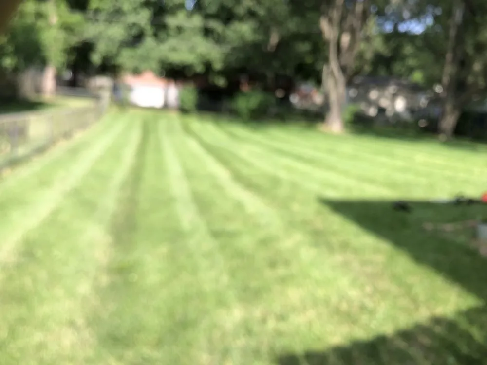 Top-rated residential landscaping near you across Kansas City, MO - The Lawn Fellaz