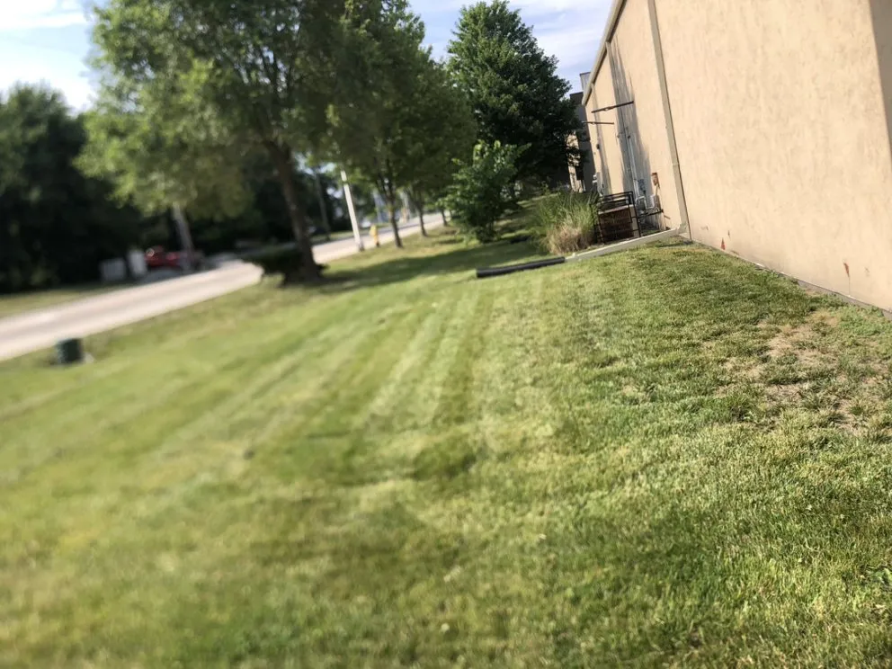 Expert yard cleanup service experts serving Kansas City, MO - The Lawn Fellaz