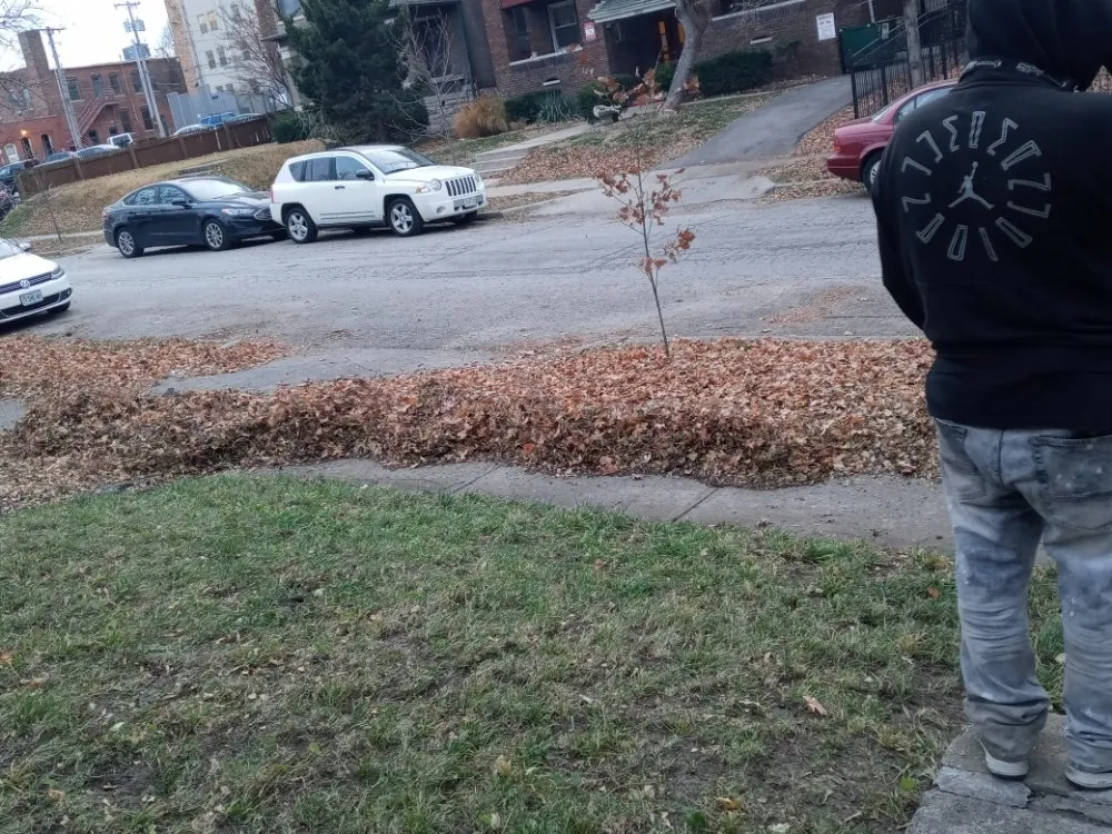 Custom garden landscaping experts serving Kansas City, MO - The Lawn Fellaz