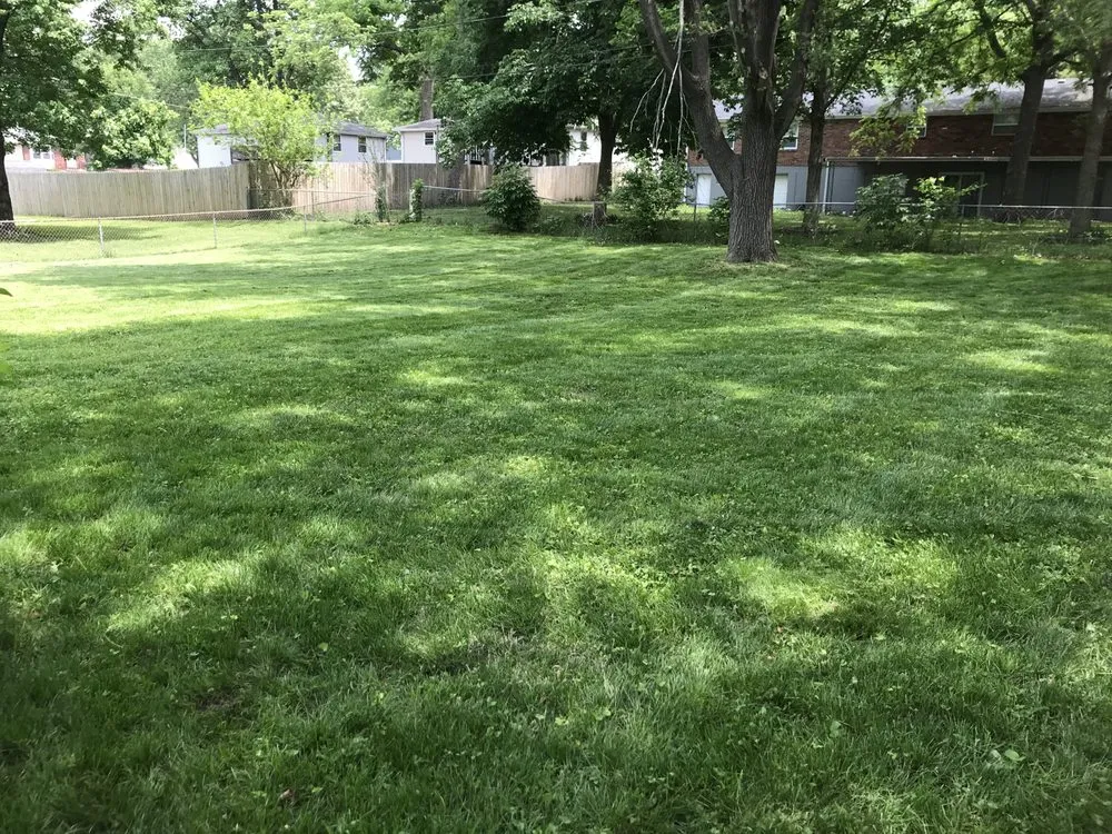 Top-rated outdoor landscaping in Kansas City, MO by The Lawn Fellaz