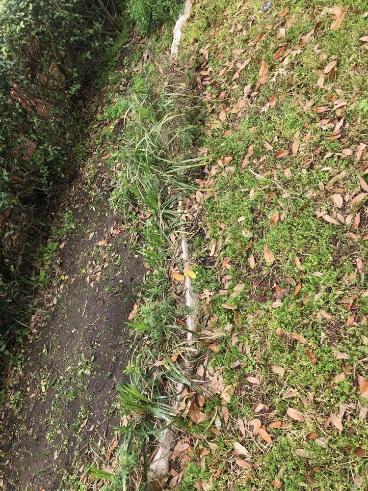 Top-rated garden landscaping in Colleyville, TX by The Lawn Firm