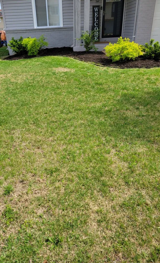 Reliable landscaping services with custom design across Florissant, MO - The Lawn for You