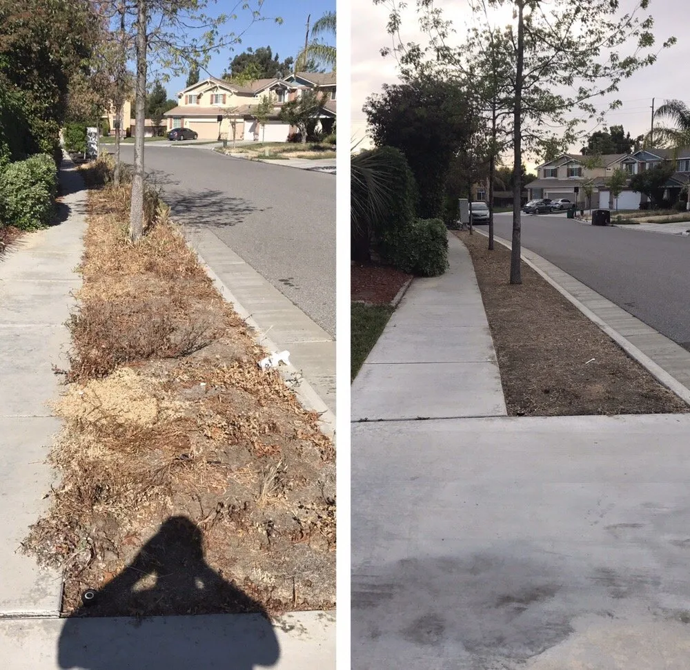 Professional lawn care service for residential properties across Moreno Valley, CA - The Lawn Geeks