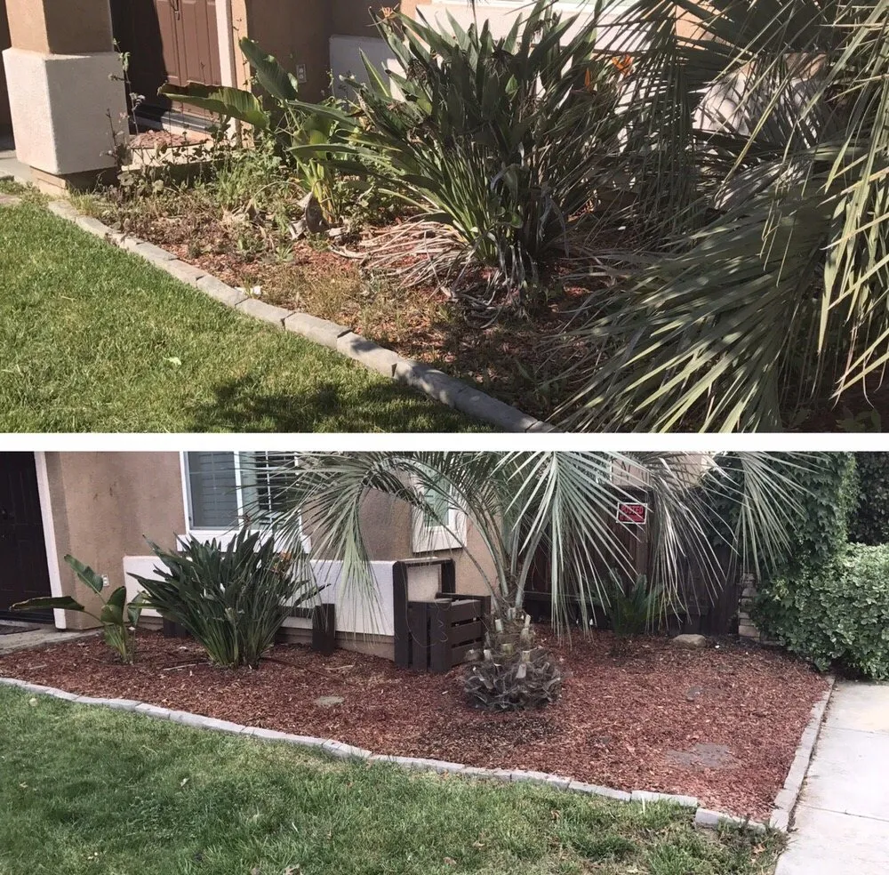 Affordable landscape installation experts serving Moreno Valley, CA - The Lawn Geeks