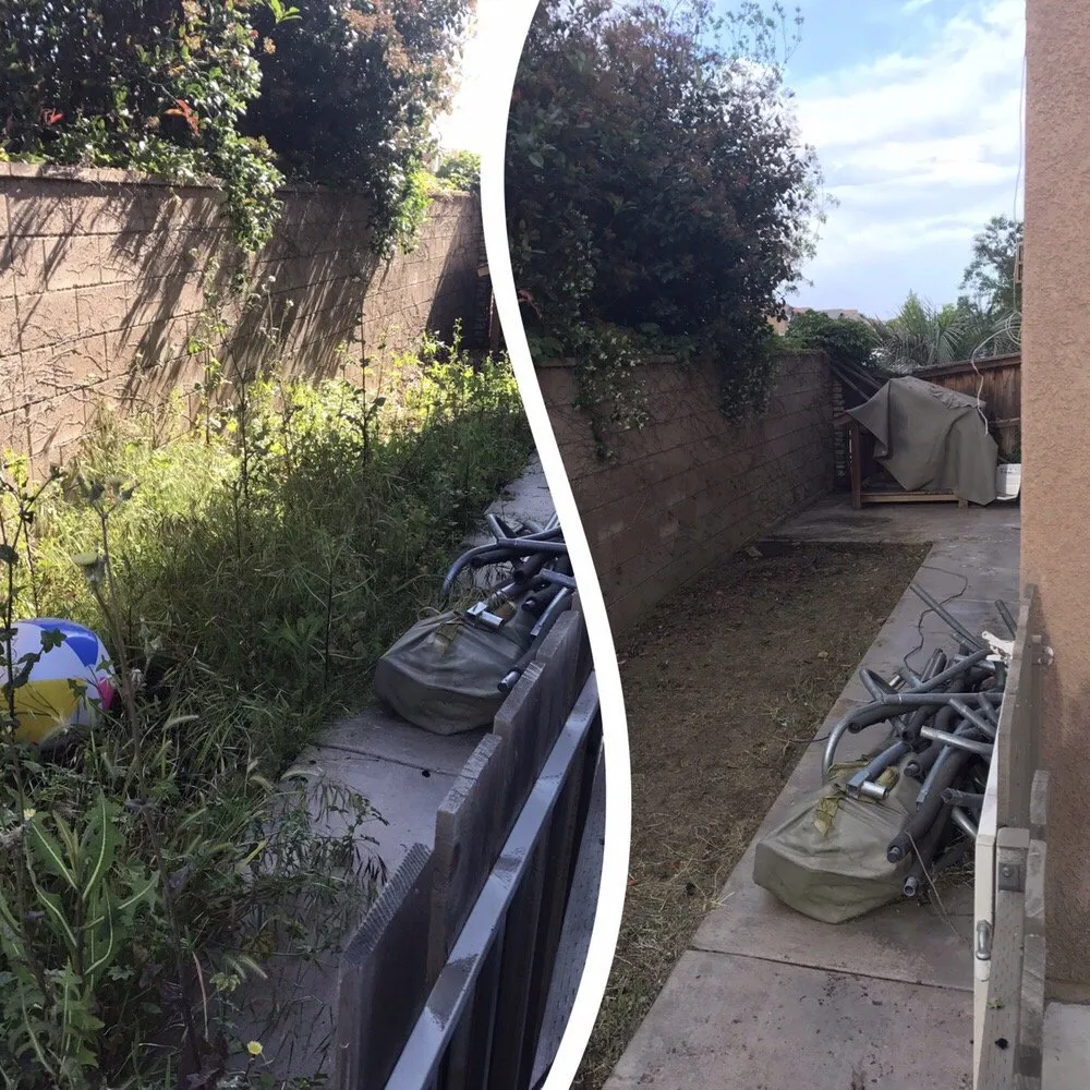 Affordable lawn care service in Moreno Valley, CA - The Lawn Geeks