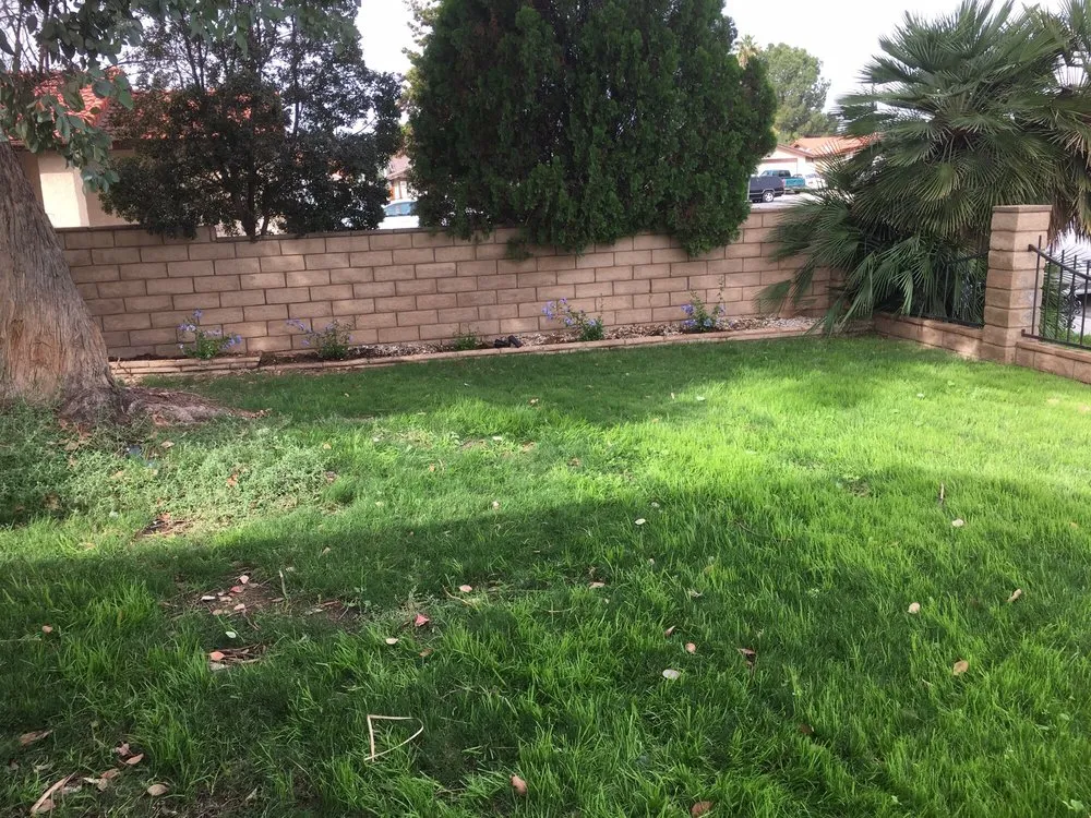 Professional yard cleanup service in Moreno Valley, CA by The Lawn Geeks