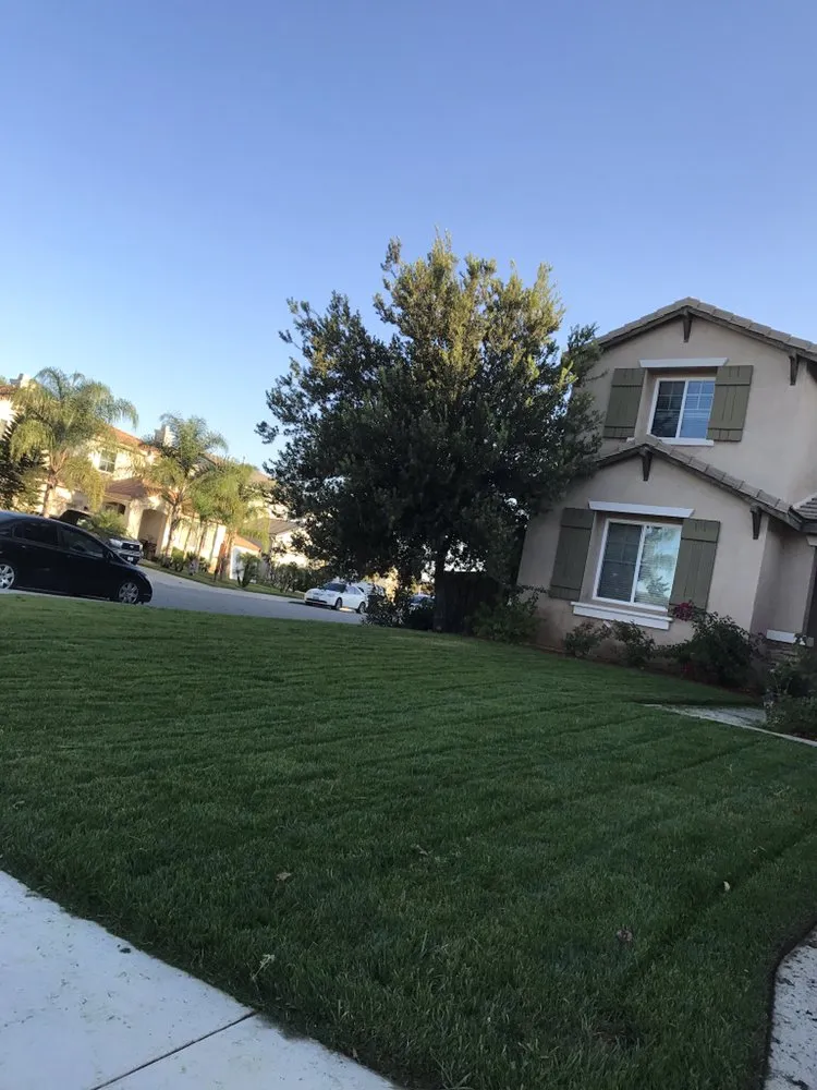 Affordable garden landscaping for outdoor upgrades across Moreno Valley, CA - The Lawn Geeks