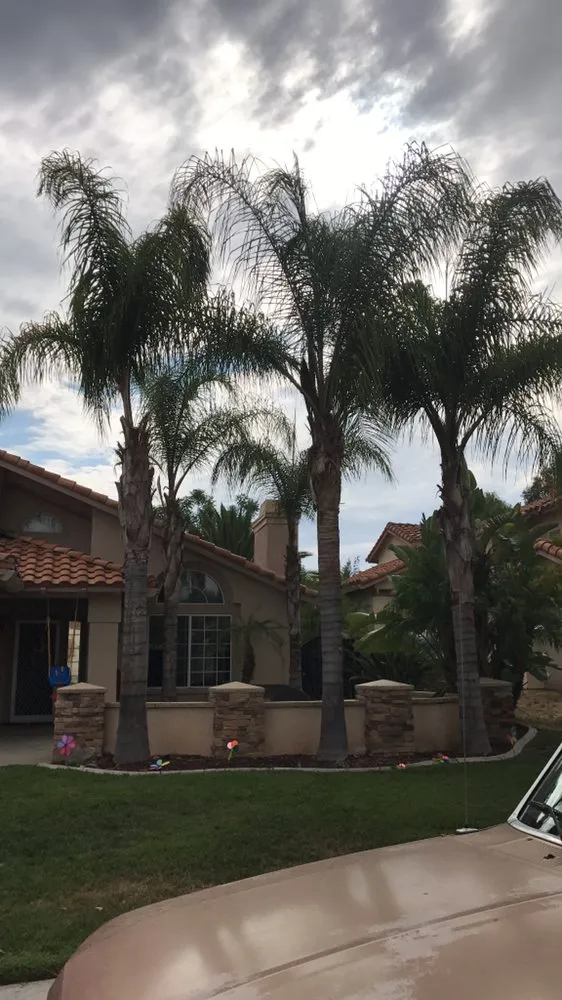 Top-rated landscaping services in Moreno Valley, CA - The Lawn Geeks