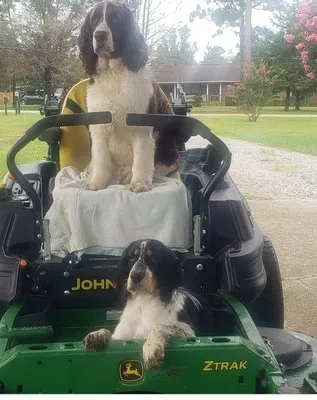 The Lawn Groomers Logo