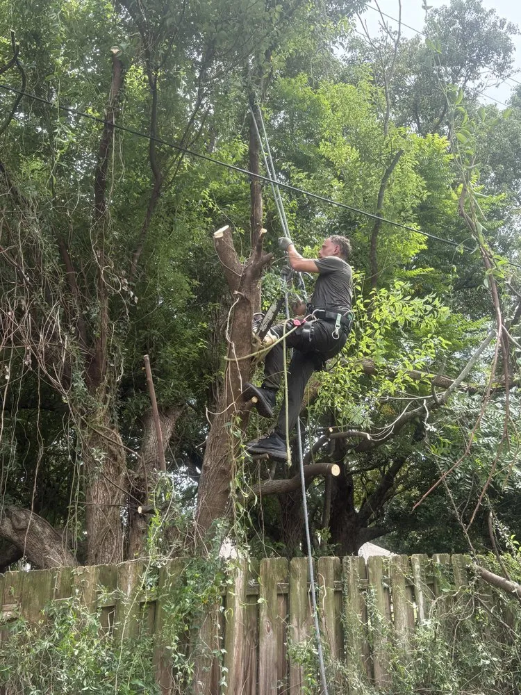 Trusted landscaping services in Apopka, FL - The Lawn Guru