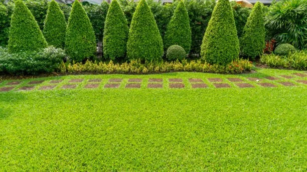 Custom lawn mowing service for outdoor upgrades across Charleston, WV - The Lawn Guru