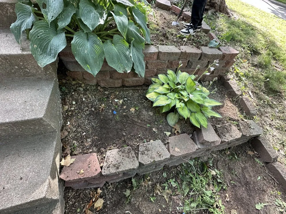 Local yard cleanup service in Kansas City, MO by The Lawn Guru