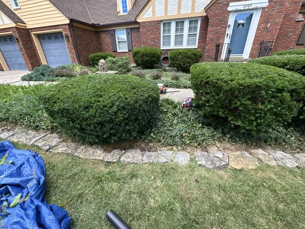 Affordable yard maintenance for outdoor upgrades in Kansas City, MO by The Lawn Guru